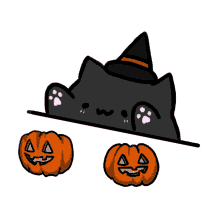 Pusheen grający na dyniach